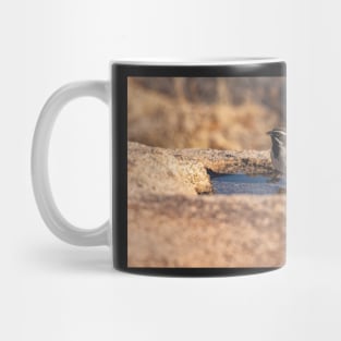 Sparrow at Waterhole Mug